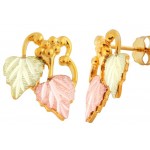 Earrings - by Landstrom's